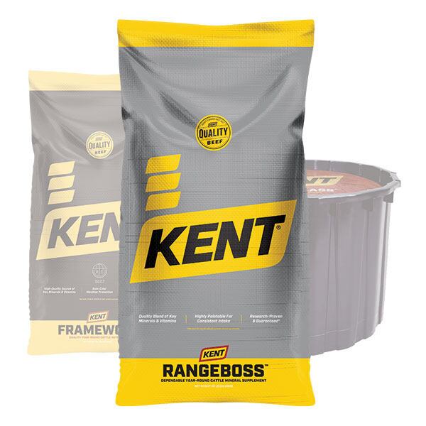 KENT Beef Rangeboss
