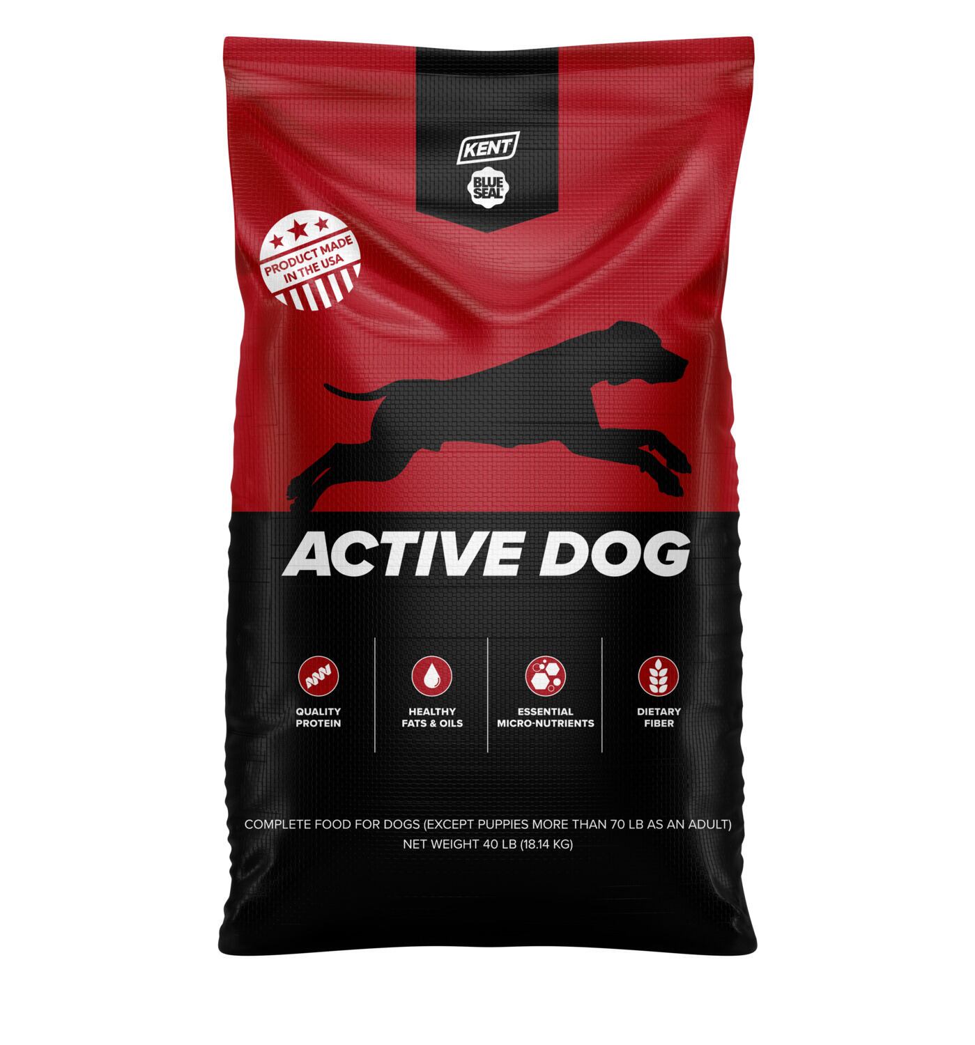 Active Dog