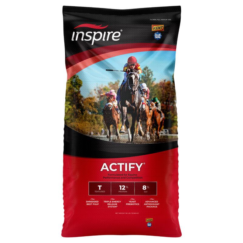 Inspire Actify