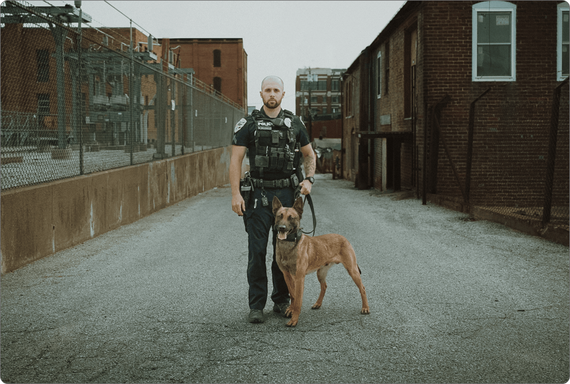 Wilkinson and Dex, Canine Dog Food