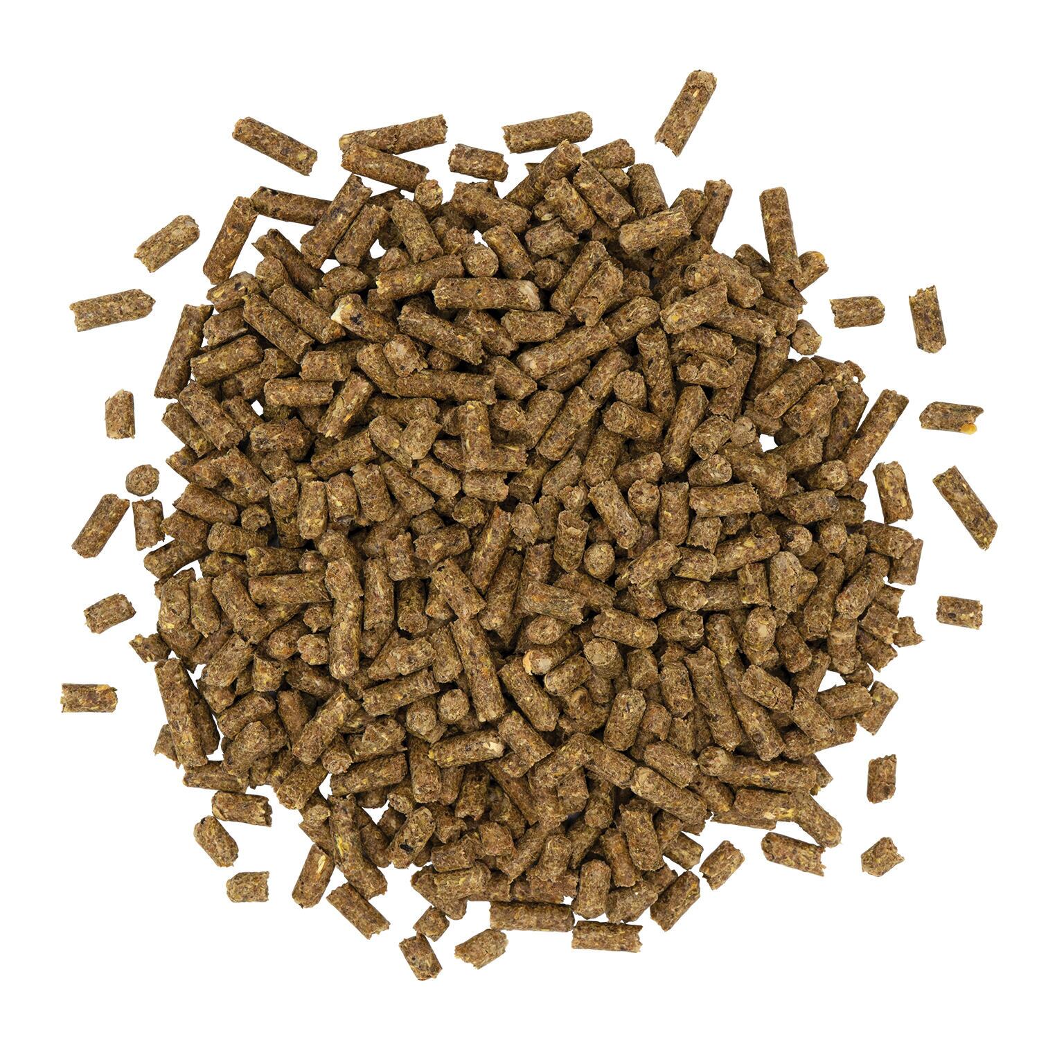 Sentinel Senior Pellet