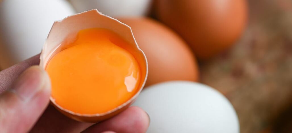 A hand holds a cracked eggshell containing a vibrant orange yolk. In the background, blurred white and brown eggs are visible, suggesting a kitchen or cooking setting. The image is focused on the rich color and texture of the raw egg yolk.