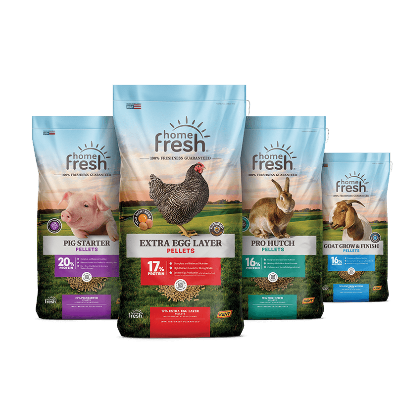 Home Fresh product grouping with Extra Egg Layer, Pig Starter, Pro Hutch and Goat Grow & Finish