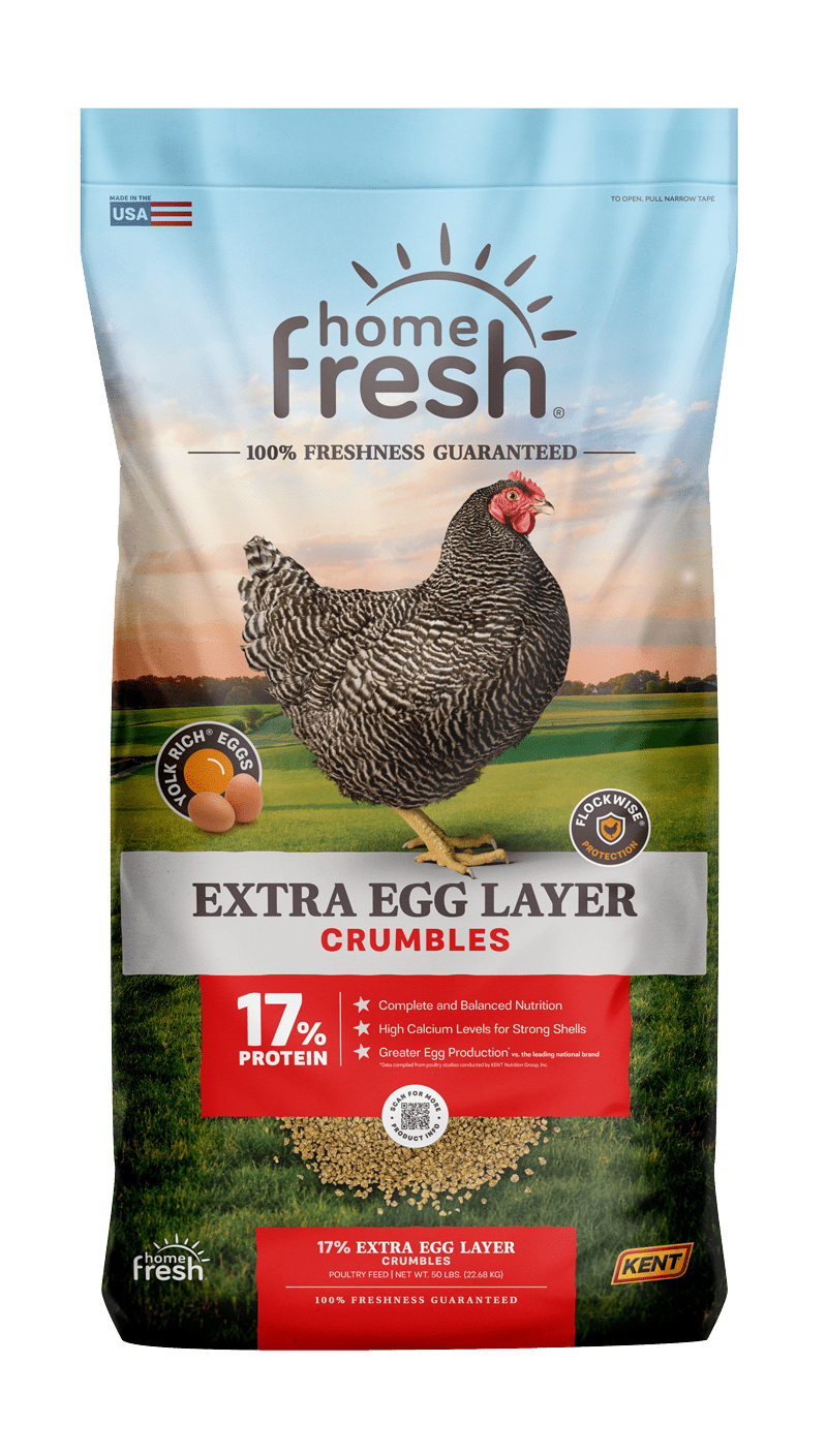 Home Fresh 50lb Extra Egg Layer Poultry Feed Crumbles