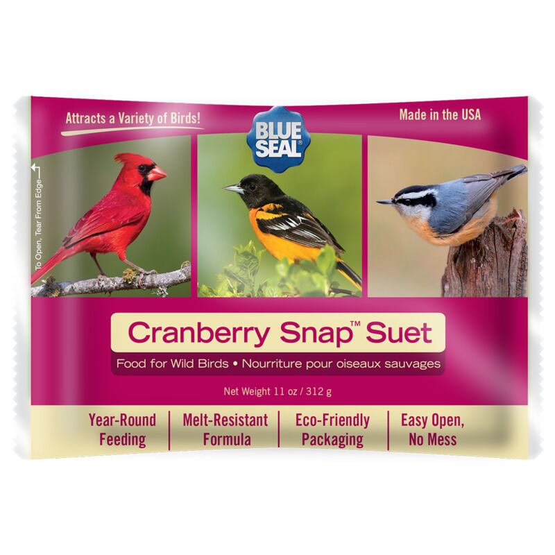 Cranberry Snap Suet Cake