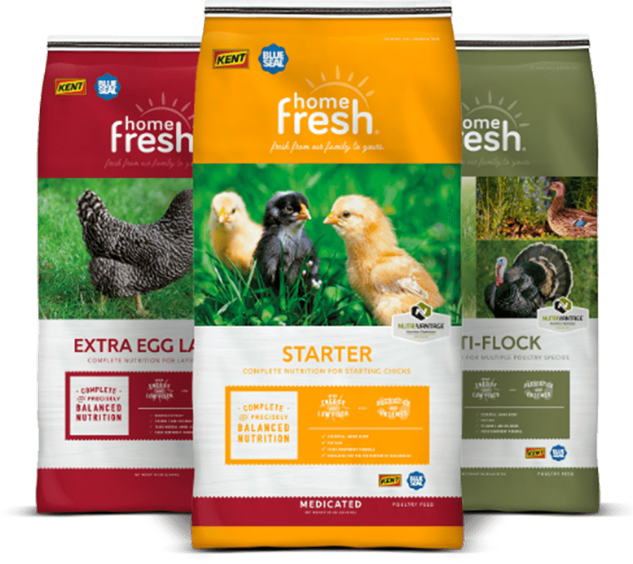 KentNutrition-GeoNeutral-Asset-One