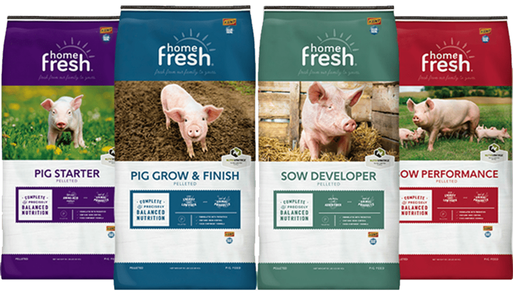 UBS-home-fresh-lockup-SWINE