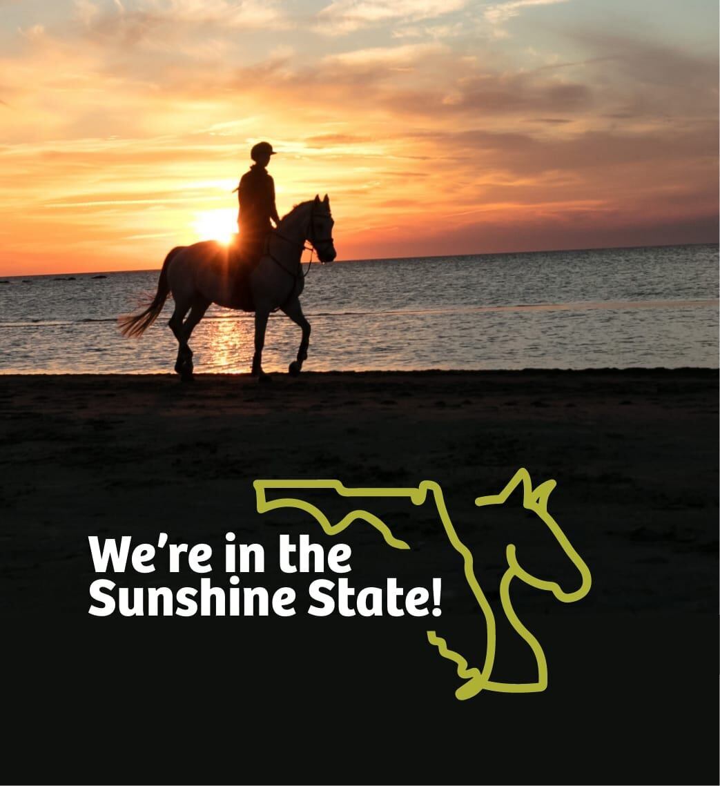 blue-seal-were-in-the-sunshine-state-1