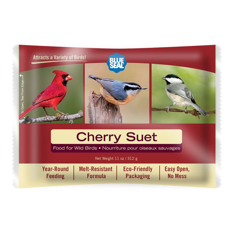 Cherry Suet Cake