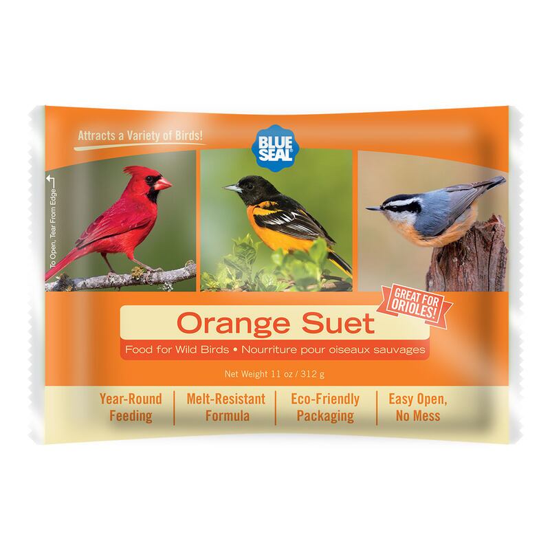Orange Suet Cake