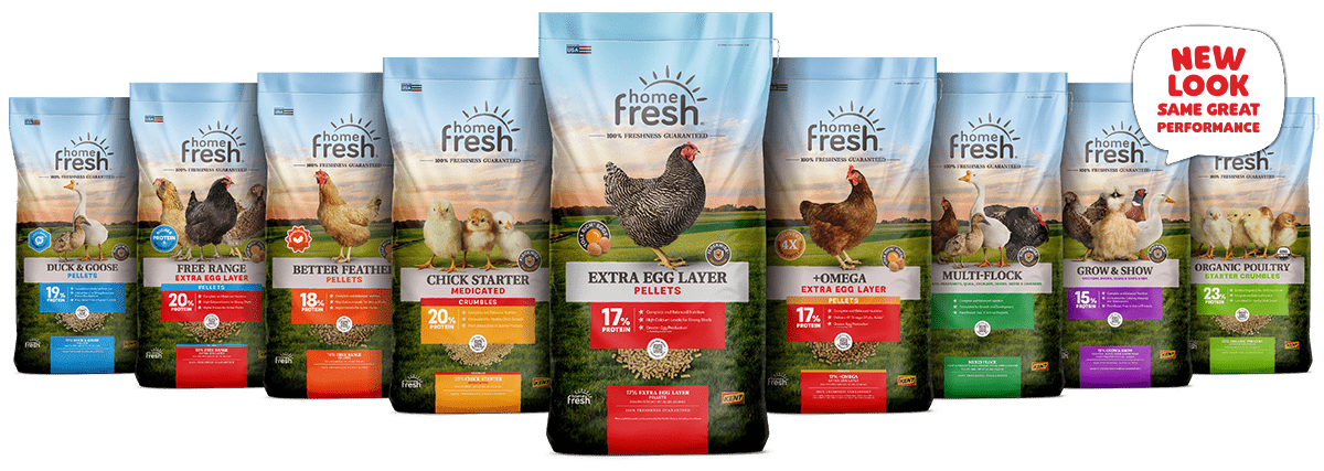 home-fresh-poultry-lineup-new-look