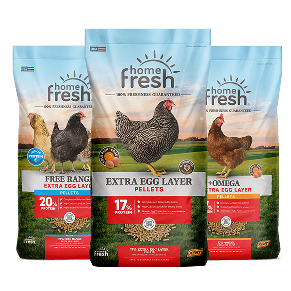 home-fresh-poultry-lineup