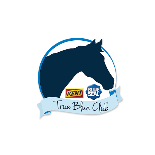 TrueBlueClub web site promo stripe