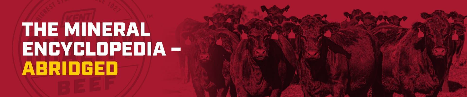 Herd of cattle with red overlay and headline The Mineral Encyclopedia-Abridged