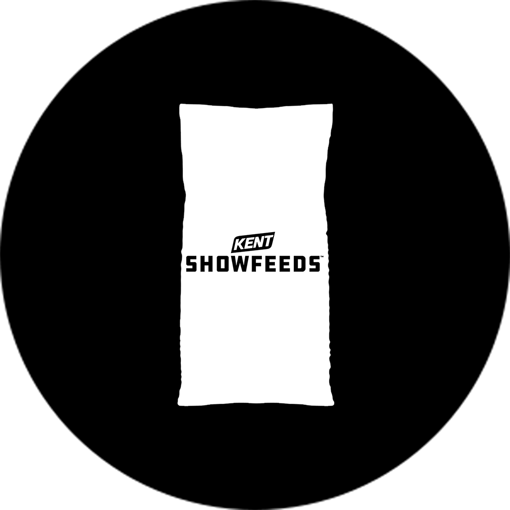 KSF-Awards-Feed-Icon_v2_1024x1024px-circle