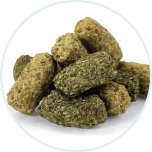 close-up of extruded horse feed nuggets