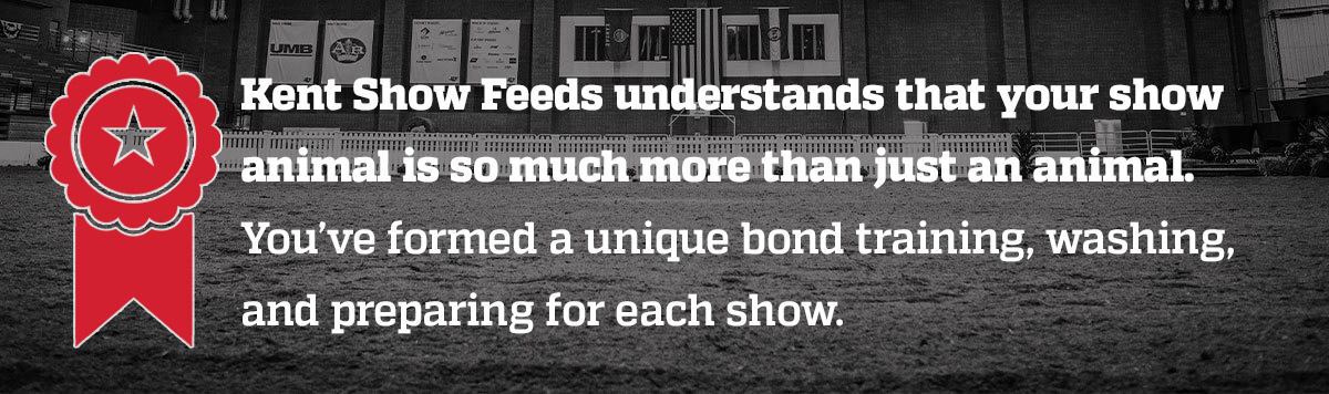 kent-understands-intro-box_RED_1200