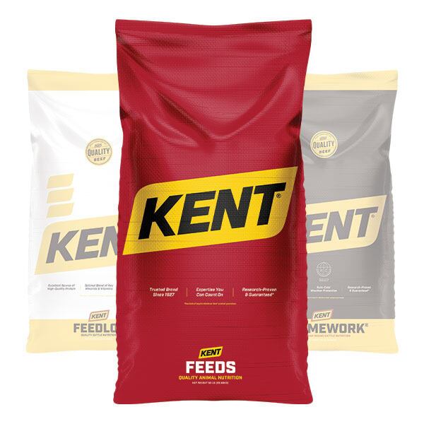 KENT Precision Dairy Beef
