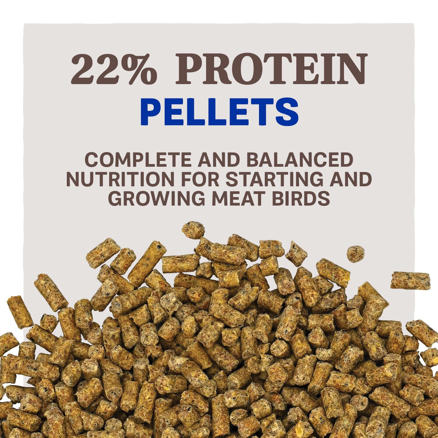 Home Fresh Meat Bird Start to Finish