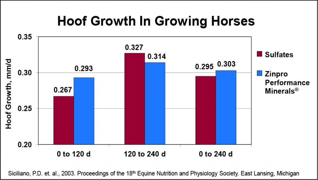 Chart highlighting hoof growth in growing horses