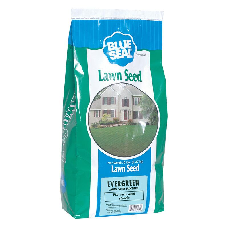 Evergreen Lawn Mix