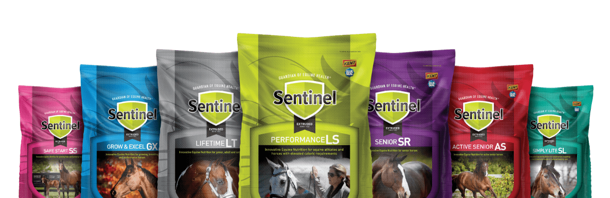 Sentinel products