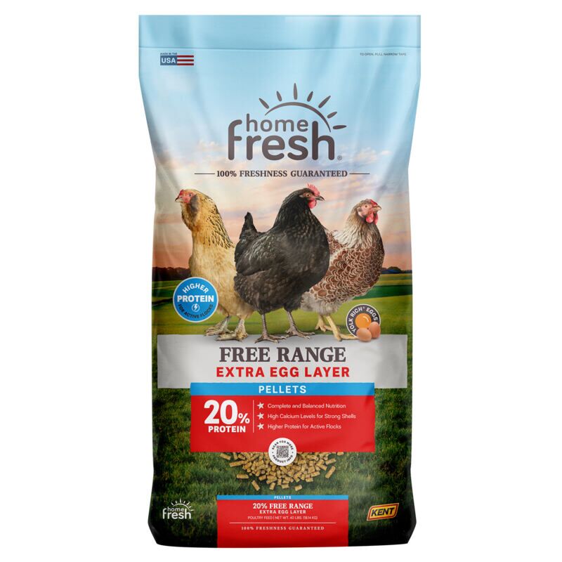 Home Fresh Extra Egg Layer Free Range