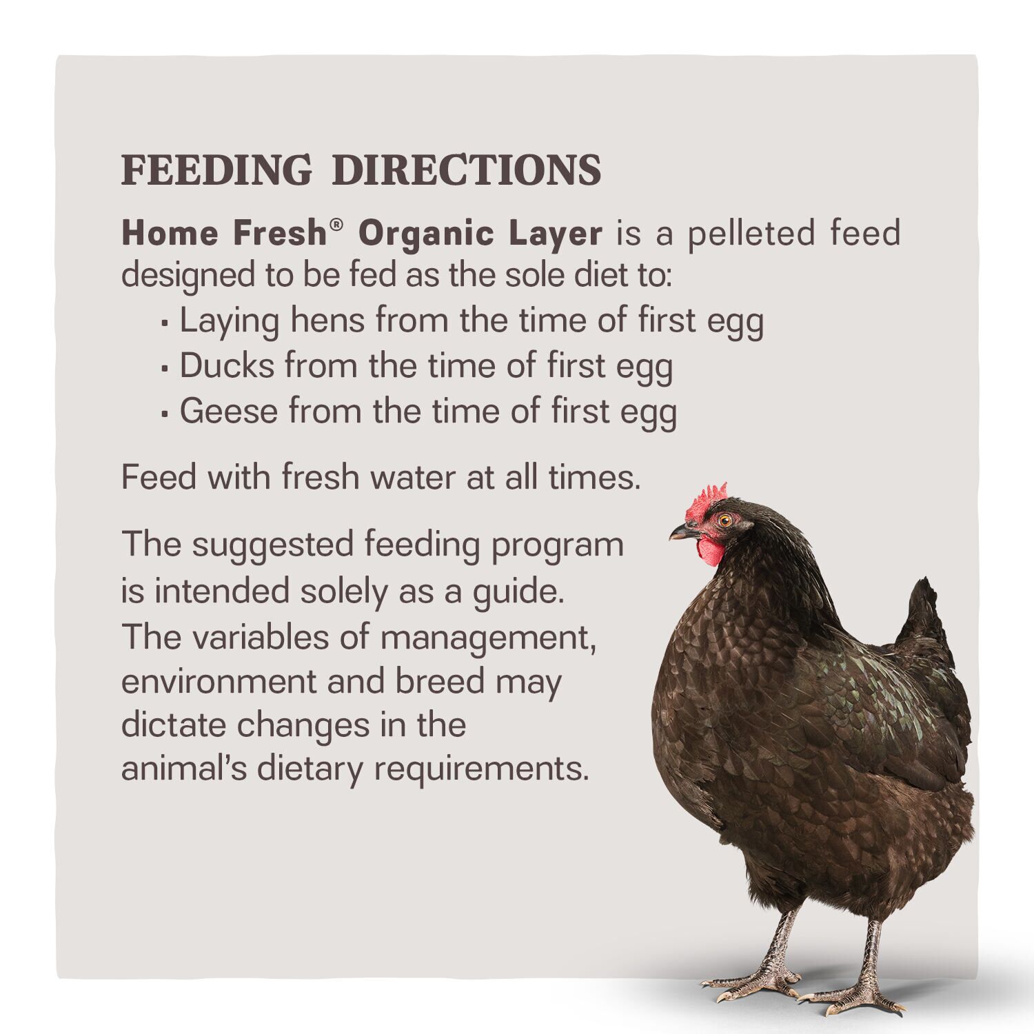 Home Fresh Organic Layer Pellet