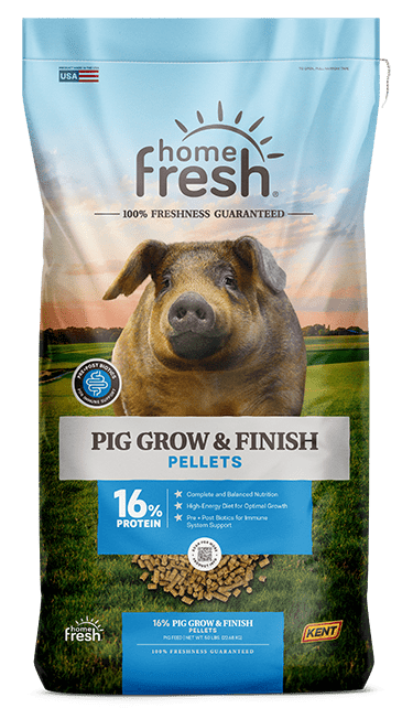 Pig Grow & Finish