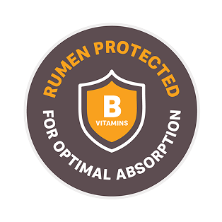 Rumen protected badge