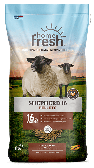 Home Fresh Shepherd 16