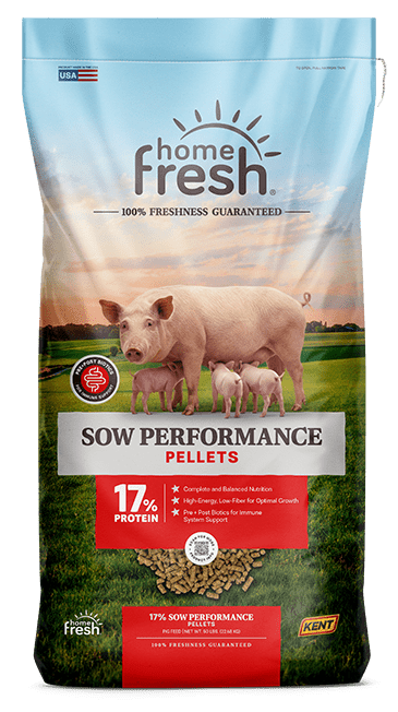 SOW PERFORMANCE