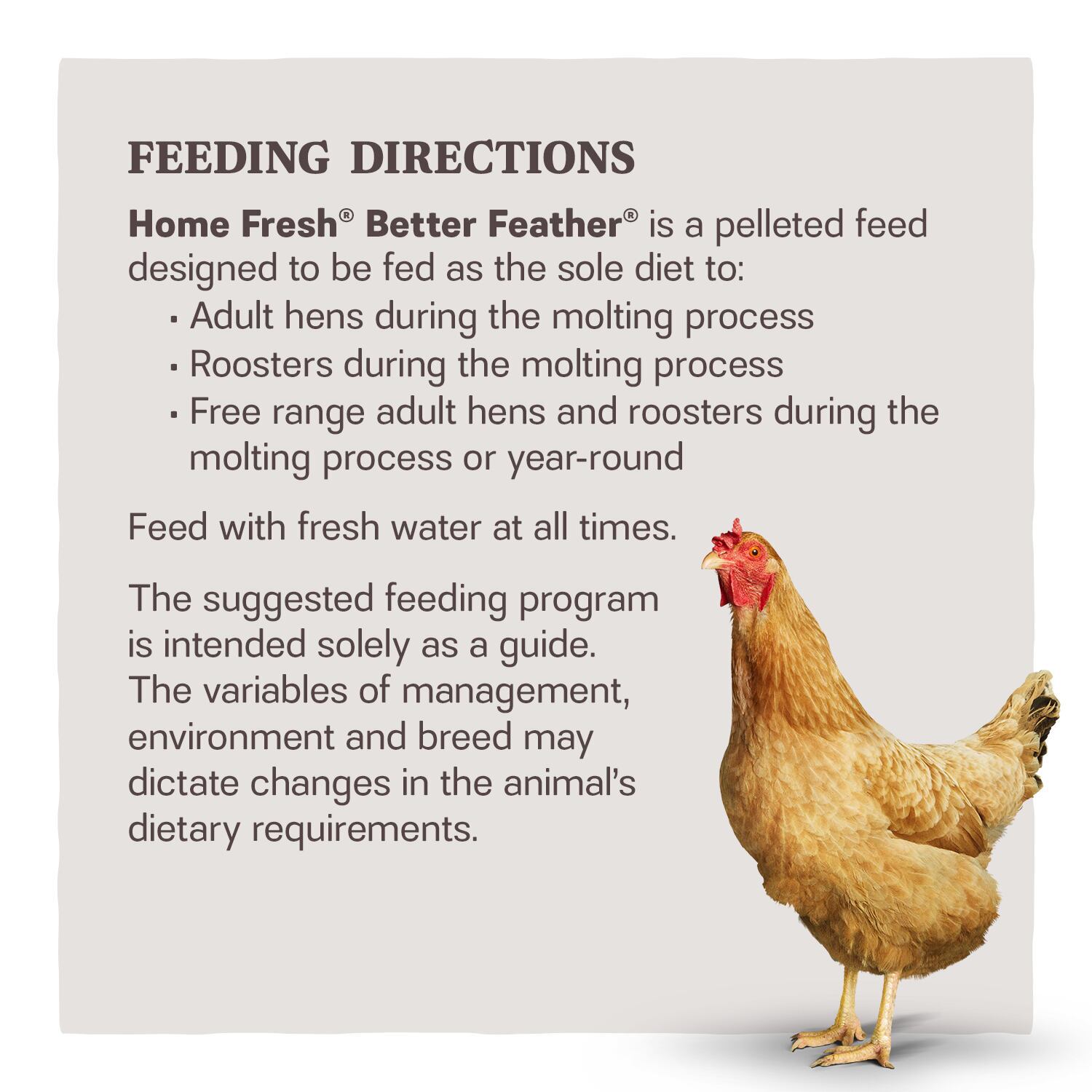 Home Fresh Better Feather