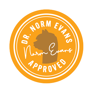 Dr Norm badge