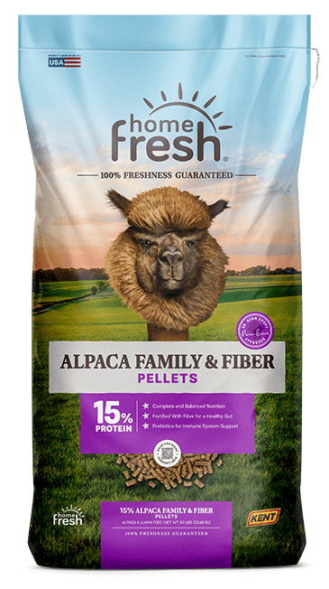Alpaca Family & Fiber