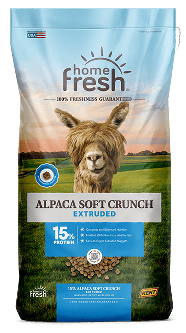 Alpaca Soft Crunch