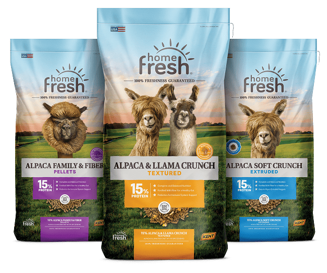 Home Fresh Alpaca & Llama Lineup