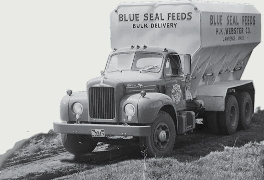 1964 1964
