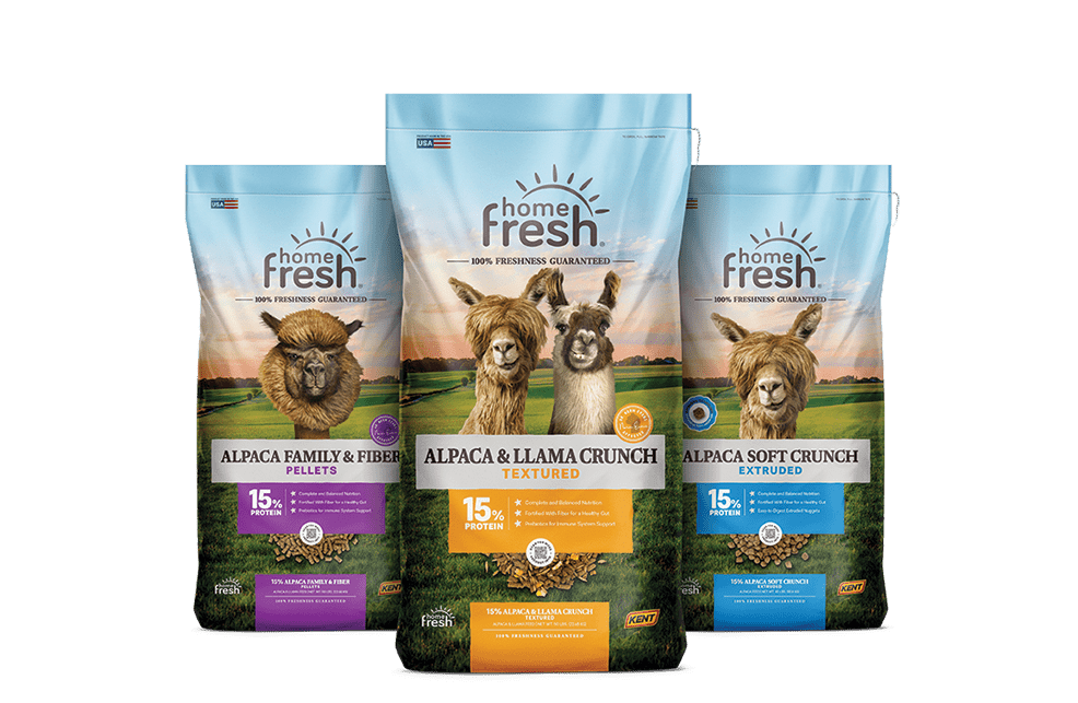 HF_Refresh_3D_Alpaca-Llama_Lineup