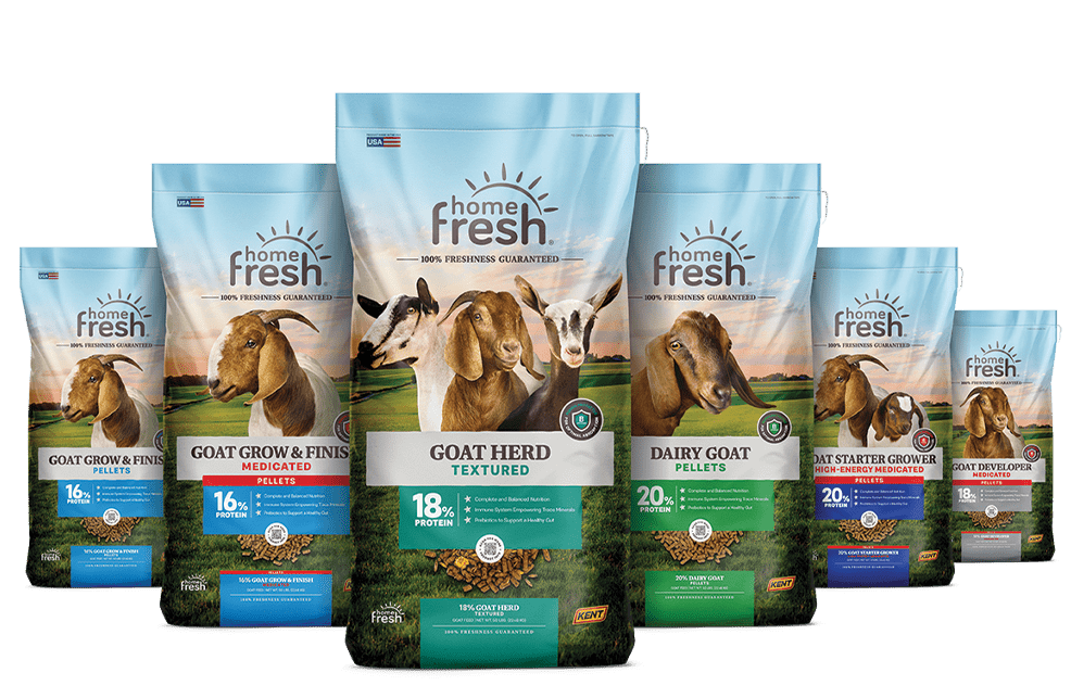 HF_Refresh_3D_Goat_Lineup