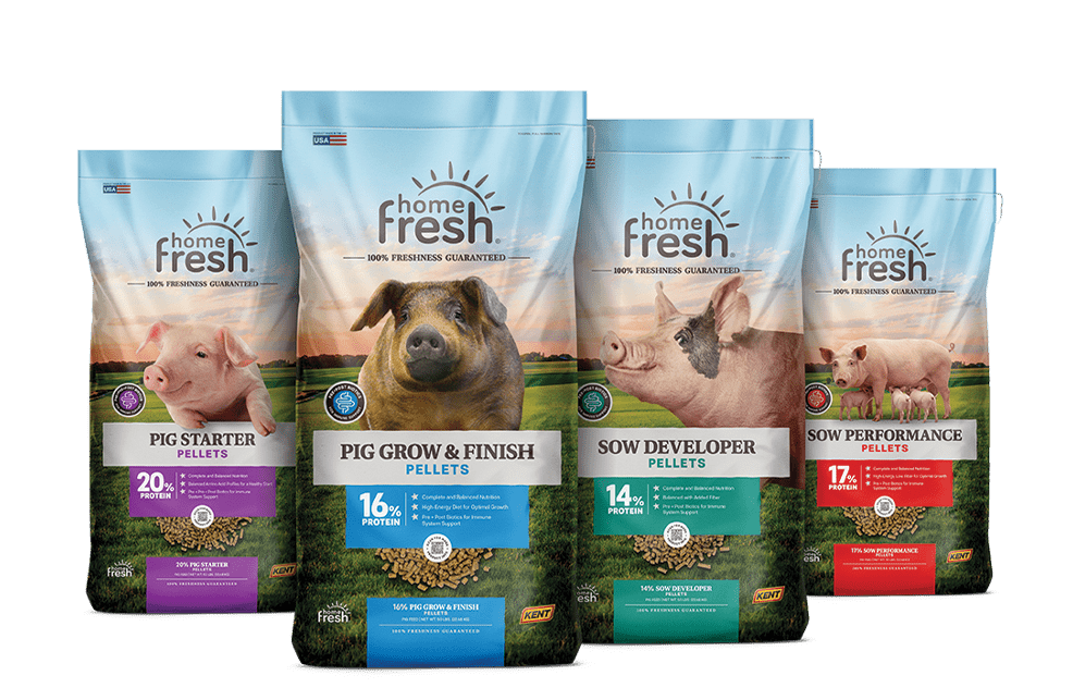 HF_Refresh_3D_Pig_Lineup