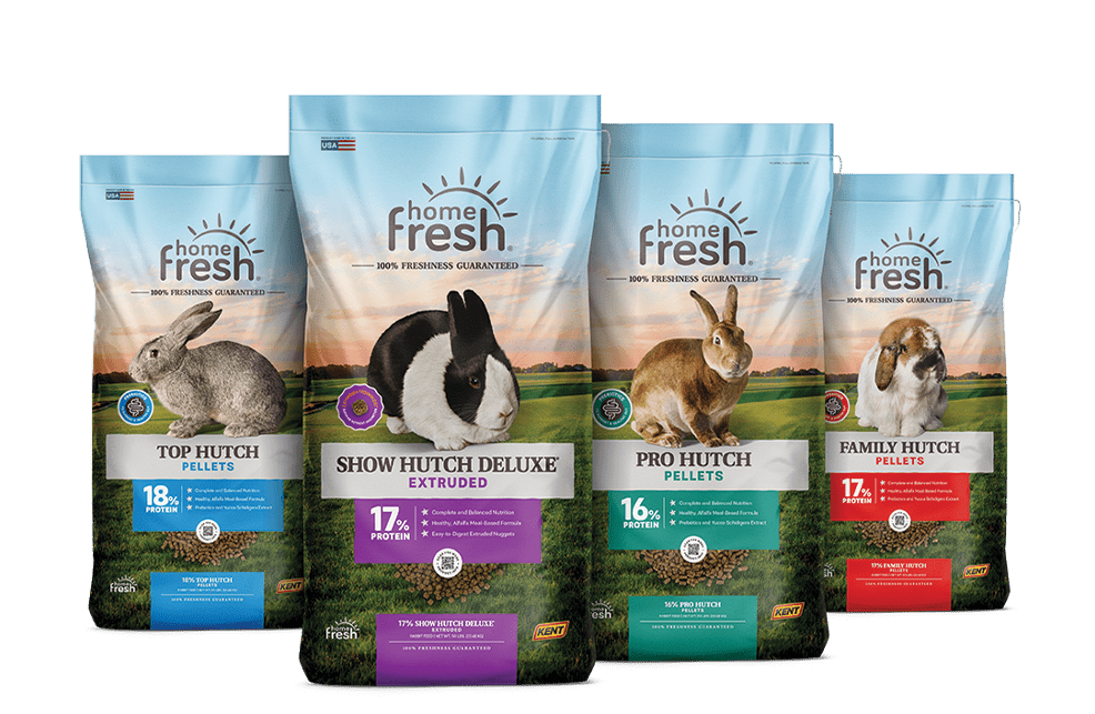 HF_Refresh_3D_Rabbit_Lineup