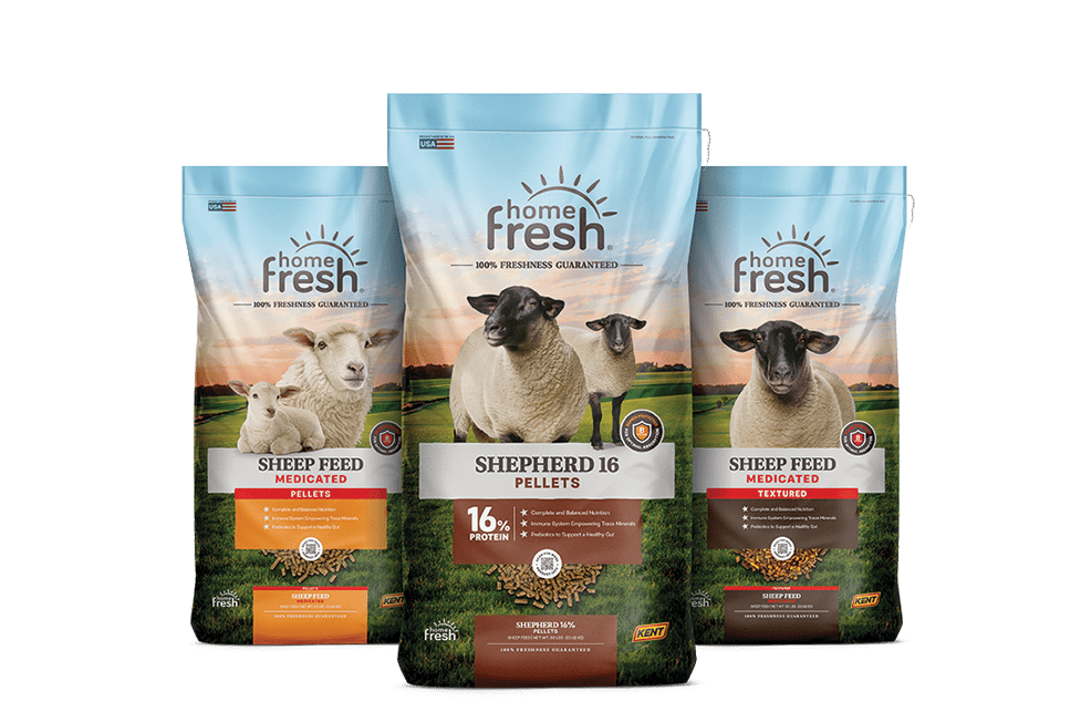 HF_Refresh_3D_Sheep_Lineup