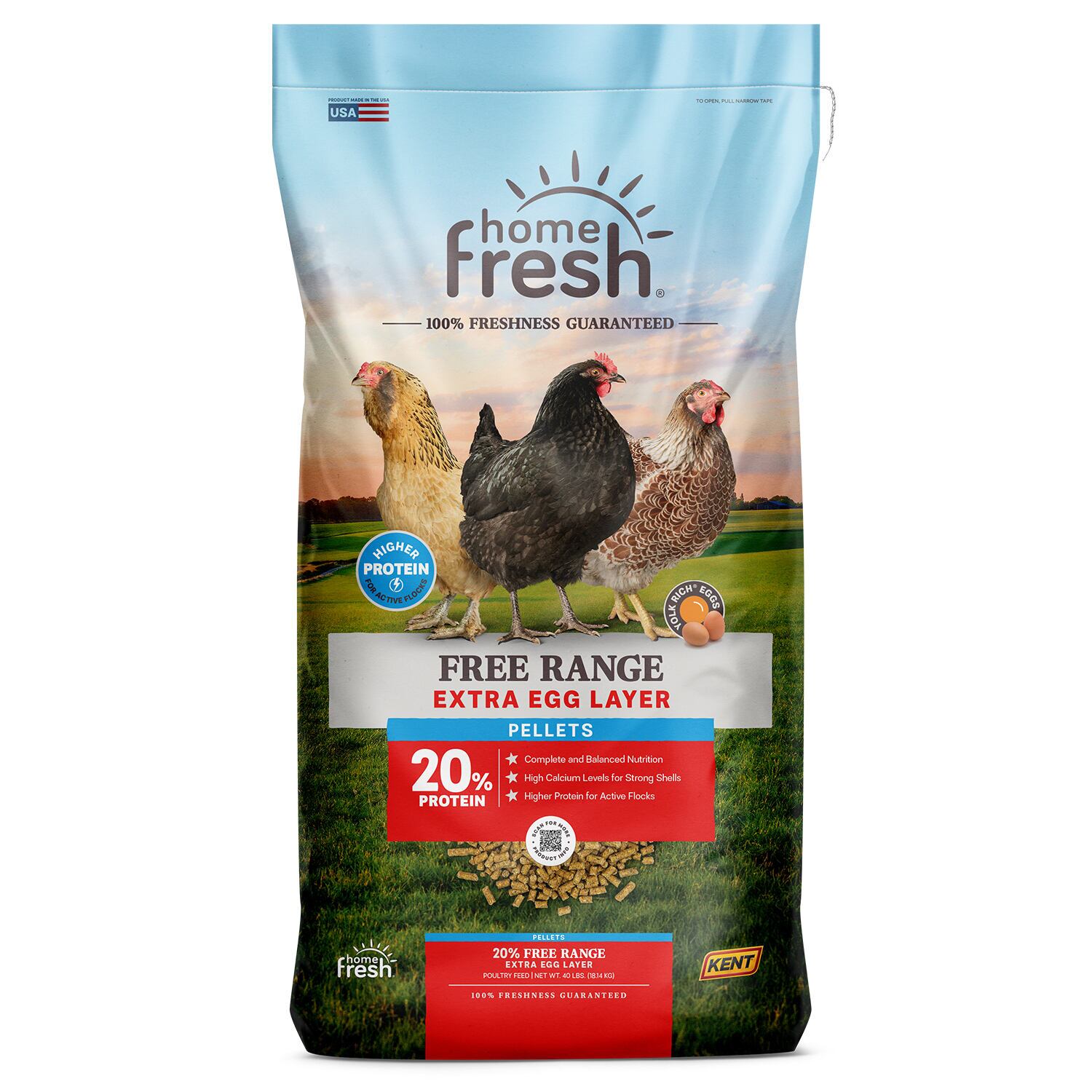 Home Fresh Extra Egg Layer Free Range