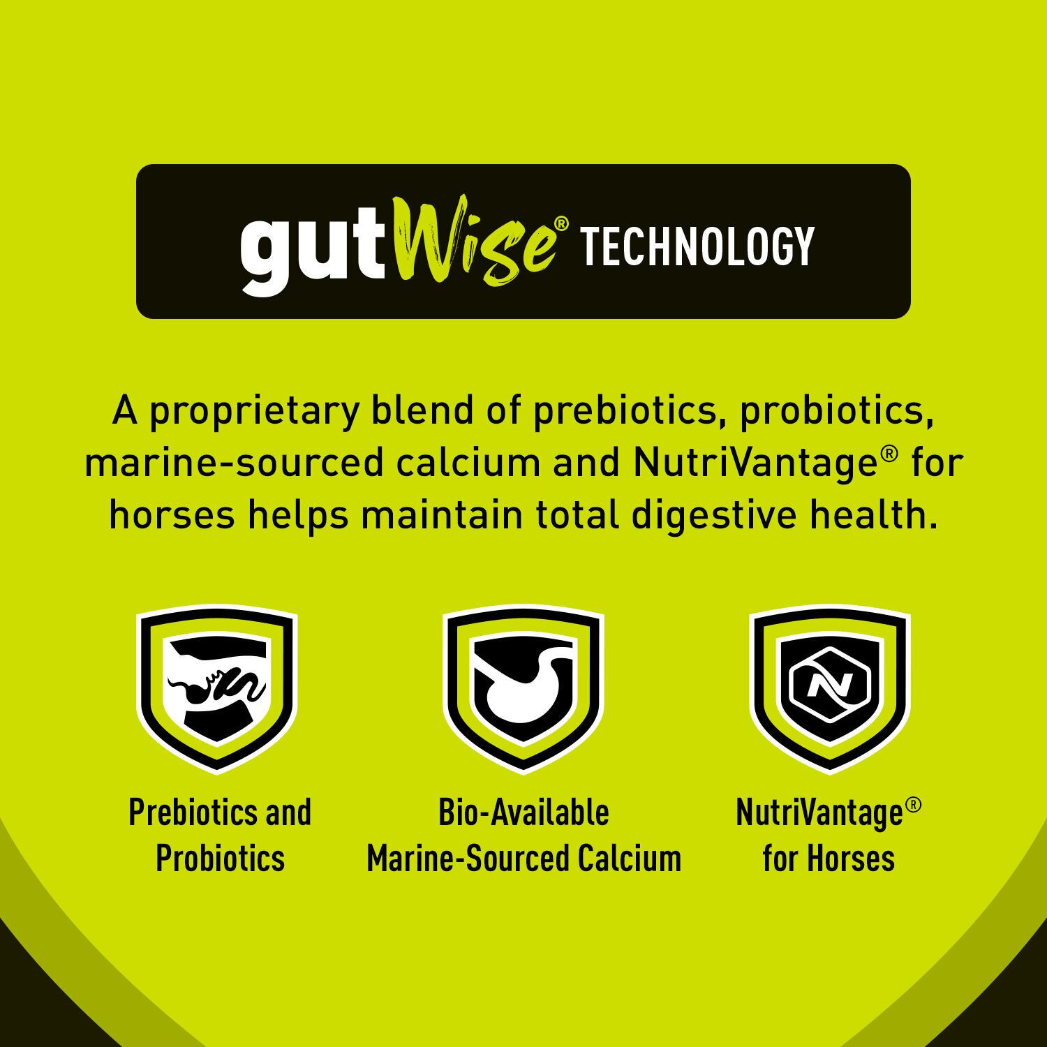 Sentinel Grow & Excel