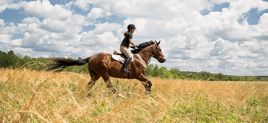 KNG-SentinelEquineNurture-4-1_1024