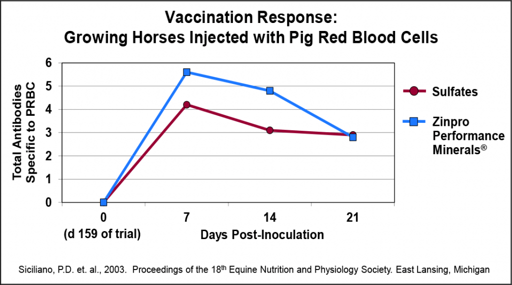 Chart highlighting vaccination response of growing horses injected with pig red blood cells