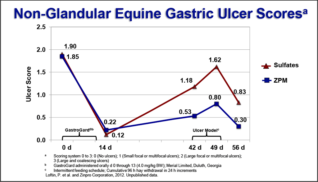 Chart highlighting non-glandular equine gastric ulcer scores