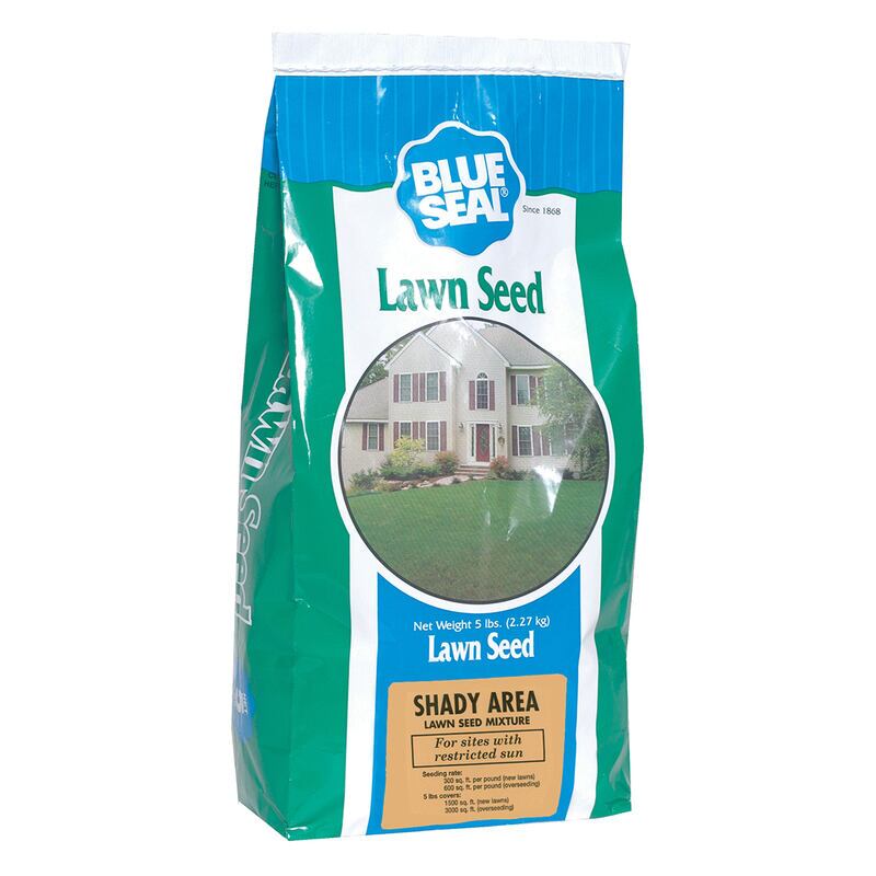 Shady Area Lawn Mix