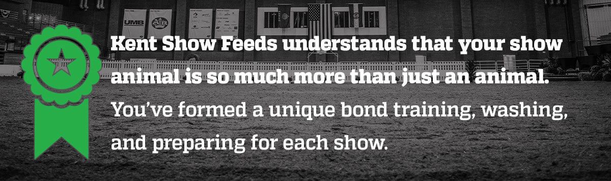 kent-understands-intro-box_GREEN_1200